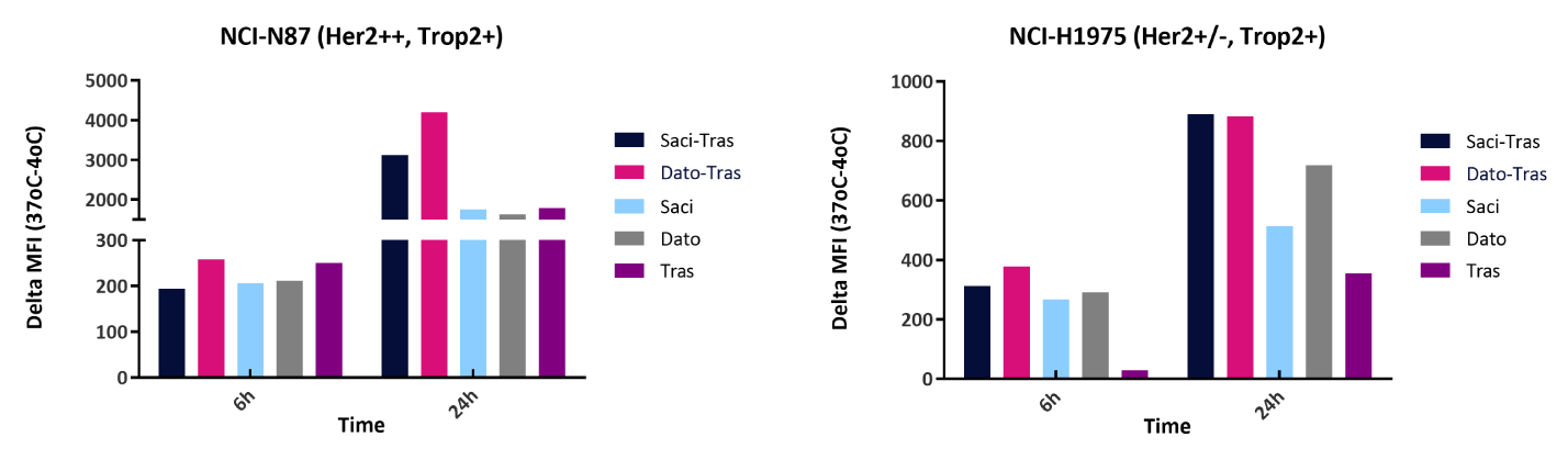 Internalization NCI-H1975 and NCL-N87.png