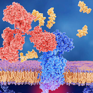 Engineering Smarter ADCs: Novel Linkers for Better Safety and Efficacy