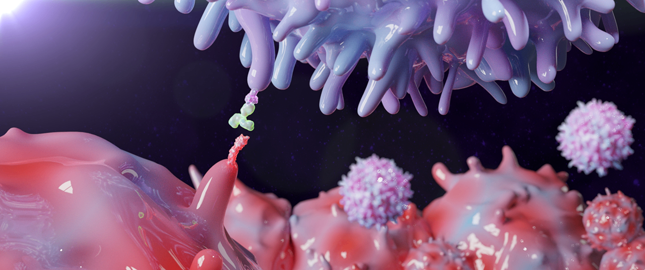 t cell and cancer cell.png