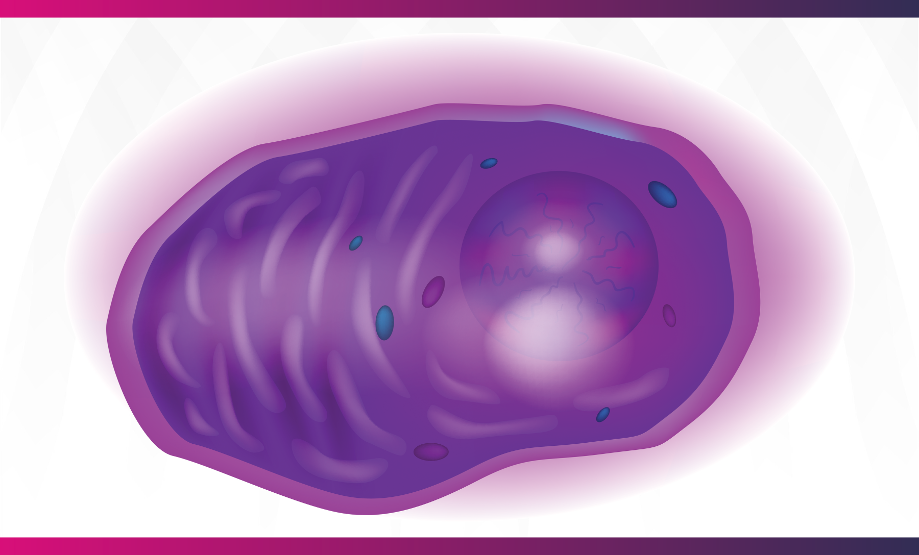 Advancements In Plasma Cell Biology | ChemPartner