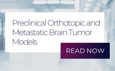 In Vivo Intricacies: The Power of Orthotopic and Metastatic Models in Brain Tumor Studies