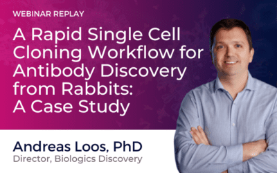 A Rapid Single Cell Cloning Workflow for Antibody Discovery from Rabbits: A Case Study