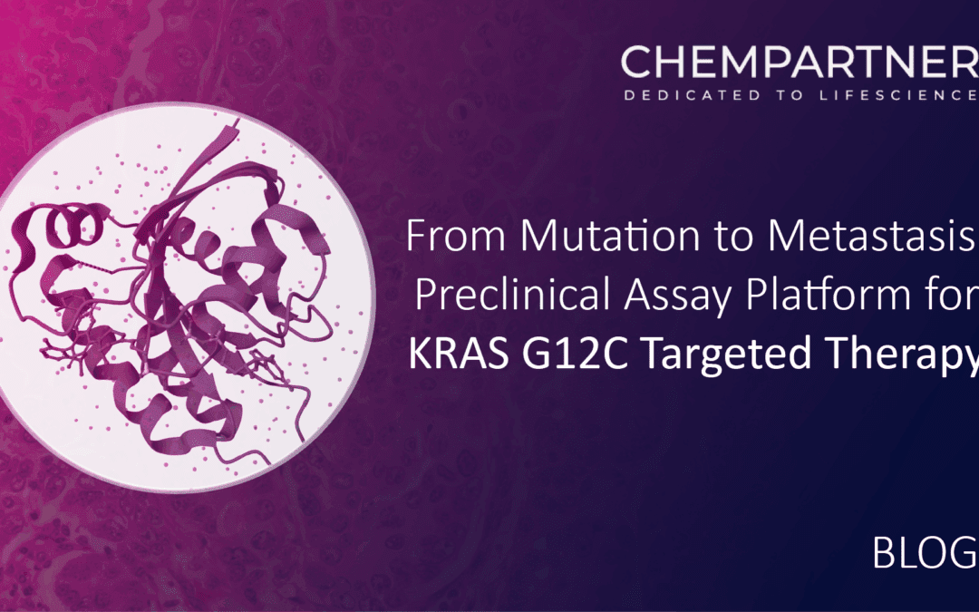 From Mutation to Metastasis: Preclinical Assay Platform for KRAS G12C Targeted Therapy