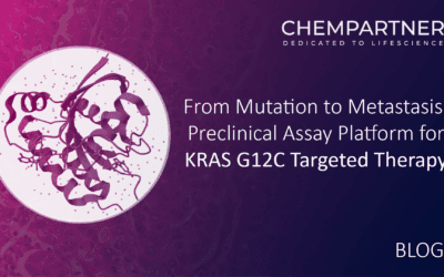 From Mutation to Metastasis: Preclinical Assay Platform for KRAS G12C Targeted Therapy