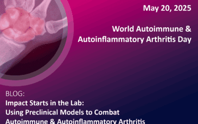 Impact Starts in the Lab: Using Preclinical Models to Combat Autoimmune & Autoinflammatory Arthritis